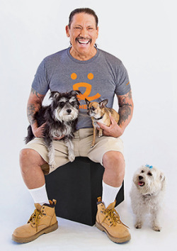 milesupshur:  for no reason at all please enjoy these beautiful, pure pictures of danny trejo holding puppies  