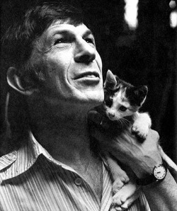 Vulcans love kitties (Leonard Nimoy with a small friend)