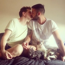www.gays101.tumblr.com—— Follow me and
