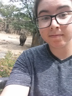 actualprotag:  we went to the philadelphia zoo and i accidentally took a selfie with a rhino ass 