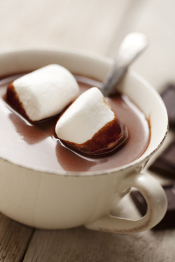 shutterstock:  Hot Chocolate with Marshmellows