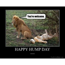 Happy #humpday !!!