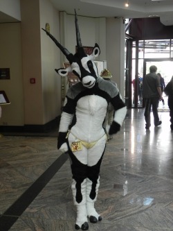 Beisa the oryx. Posting some more of my fursuit photos, since someone asked if i had a bunch of them in one place&hellip; pardon the dump. These ones were from EF16 in Magdeburg.