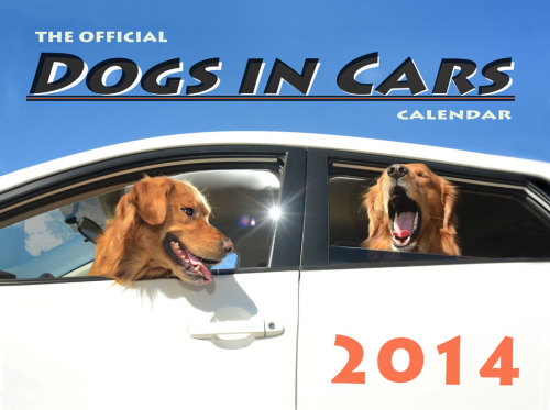 Porn photo kaihire:  thefrogman:  Dogs in Cars [website]