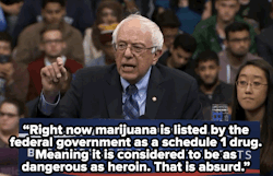 micdotcom:  micdotcom:  Bernie Sanders just took the boldest stance of any candidate on legalizing marijuana and ending the war on drugs. But he didn’t stop there: “There is a racial component to this situation.”  UPDATE: With a new Senate bill