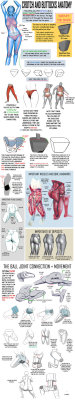 art-resource:  Crotch and Buttocks Anatomy by NemoNova 