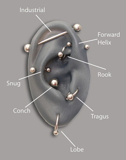 rinface:  Facial and Ear piercing Diagrams Just incase anyone out there was looking for them. 