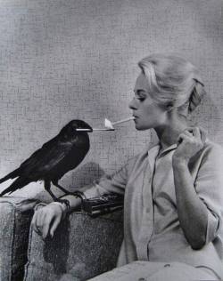 cynema:  Tippi Hedren having her cigarette lit by a crow on the set of “The Birds” 1963.  Directed by the one and only Alfred Hitchcock.
