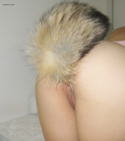 I Was Looking At Our Foxtail And Creampie Picture Sets From A Few Weeks Ago (Here