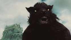 fisziskyrim:  More Skyrim werewolves!
