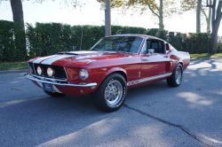 americanclassicmusclecars:  American Muscle Cars… 1968 Ford Mustang SHELBY GT500 Clone 351 V8