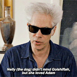 beneffleck:“Nelly, a wonderful dog that plays Marvin. She was a rescue dog and she was really a joy to work with. She kind of fell in love with Adam.” - Jim Jarmusch on the dog from Paterson
