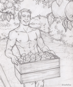 drawfellas:  Apples - Pencil drawing…Art by Drawfellas