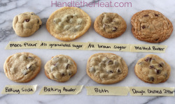 arbitrary-stag: what-tis-this-nonsense:  khealywu:  note-a-bear:  tat-buns:  sweetassfoodstuffs:  handletheheat.com  This is SO important.  this is on my obligatory reblog list  THIS IS VERY COOL FOODY AND SCIENCEY   @arbitrary-stag for the cookie dude