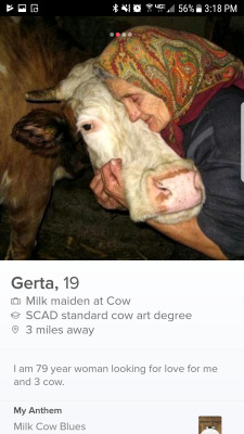 ghost-y: ghost-y: this is legitimately the FUNNIEST fucking thing I’ve seen on any dating website GERTA REJECTED ME 