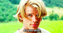 spockquaman:  wackd:  atopfourthwall:  thefingerfuckingfemalefury:  theresadiamondunderthedust:  You either love The Princess Bride or you’re wrong.  THOSE ARE THE OPTIONS YOU HAVE  Give him a break. He’s been mostly dead all day.  If a more quotable
