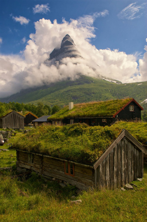texaskittensearching4sir: bts-grand-tour:  boredpanda:  24  Reasons Why Norway Should Be Your Next Travel Destination  Amazing  Beautiful!!   New bucket list entry