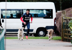 oliviergiroudd: Alexis Sanchez brings his dogs, Atom &amp; Humber, to a Chile training session at Arsenal’s training ground, London Colney, (27/3/2014)
