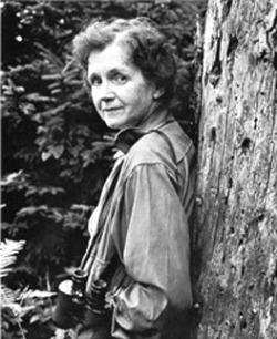 ladieslovescience:  Rachel Carson (1907-1964) was a conservationist. She wrote several books about the environment, including, most famously, Silent Spring, which celebrated 50 years of publication last year. Her writing helped bring nationwide attention