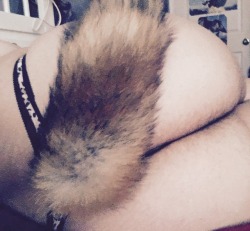 lavender-lupi:  It’s a lovely Friday morning. Woof, woof.   (I know it’s a fox tail, but I’m pretending it’s a wolf tail because reasons.) 