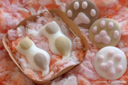 meowoofau:  cat marshmallows What’s fluffy, sweet and too adorable to eat? Cat marshmallows! Now you can have cat inspired beverages in the comfort of your own home thanks to Yawahada, a Japanese specialist marshmallow shop. The paw print marshmallows