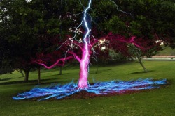 wayward-waddiwasi:  supersugoiautism:  thatscienceguy:  Long exposure picture of a Lightning Bolt hitting a Tree!   holy shit  metal as fuck 