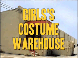 crackingskullz:  shensation:  donthatemecusimbeautiful:  Girl’s Costume Warehouse (X)  ITS BACK  and frog 