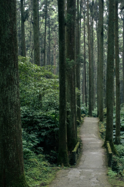 expressions-of-nature:  Taiwan by: 7 w d