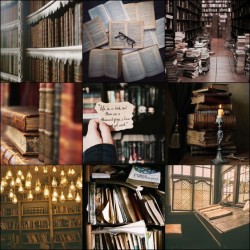 toxic-boards:Theme Aesthetic: Library