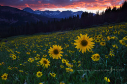 Landscapelifescape:  Breckenridge, Colorado, Usa  By Nate-Zeman 