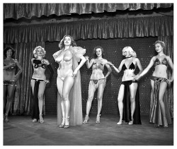   Tempest Storm A publicity still from the 1953 Burlesque film: &ldquo;A NIGHT IN HOLLYWOOD&rdquo;, features Ms. Storm at center stage.. Misty Ayres (at Left) and Mae Blondell (at Right), are the 2 blond dancers seen behind her.. The film was shot at