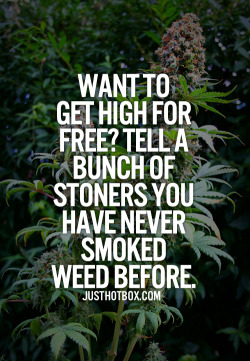 kushandwizdom:  Click here for more weed