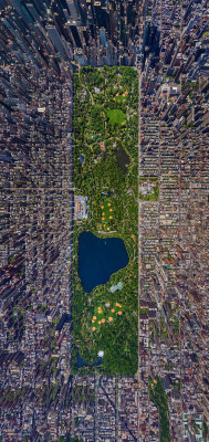 tbonita:   New York City’s Central Park from Above  Home 