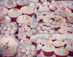 A World Of Cupcakes… on Flickr. -Photo