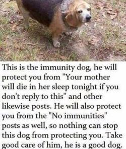 memecage:Immunity doggo Some “ass fuck” posted this.