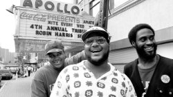 20 Years Ago De La Soul Refused To Go Pop (via nprmusic) This year marks the 20th anniversary of a remarkable year in music. Over the 12 months of 1993, Queen Latifah, Salt &lsquo;n&rsquo; Pepa, Snoop Dogg, A Tribe Called Quest, the Wu-Tang Clan and