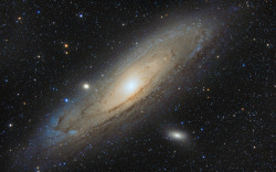 just–space:  The Andromeda Galaxy 