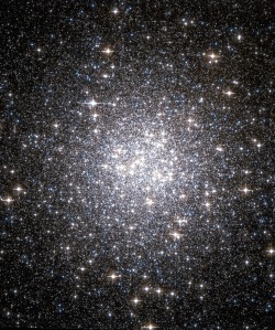 astronomicalwonders:  Globular Star Cluster - M53 Star Cluster M53 is an outlying Globular Cluster 58,000 light-years away from our solar system in the constellation Coma Berenices. M53’s 250,000 stars orbit in our galaxy 60,000 light-years from our