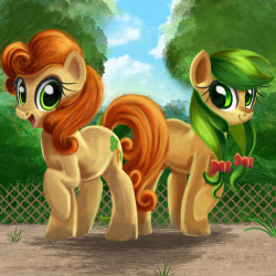 mlpfim-fanart:  Apple Fritter and Carrot Top by AlinaTF  ^w^