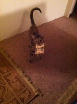 blackandmildwithgod:  If you scroll pass this you donâ€™t got ten dollars   C'mon money cat, daddy needs to pay off some credit cards!