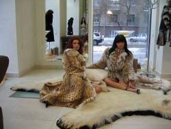 Giselle and I visited Our favorite furrier while on holiday in Oslo. They specialize in exotics and endangereds.  There’s nothing so invigorating as eyeing one’s self in the mirror…adorned in something obscenely rare and expensive…sinking your