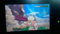 First shiny I encounter since Sapphire is this little beauty! Yes, I named him Shinurr&hellip; Big whoop, wanna fight about it?