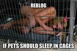 pets-and-slavgirls:  hedonistfucktoy:  isodomesticslut:  puppy-girls:  What do you think?  Of course they should. As much as possible.   Well my cat sleeps wherever she wants, usually in my bed.But when someone makes me their pet I have far less dignity