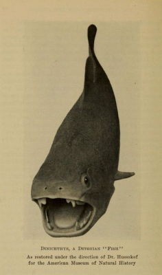 nemfrog: “Dinichthys, a Devonian ‘fish’.” Animals of the past.  1929. American Museum of Natural History guidebook. 