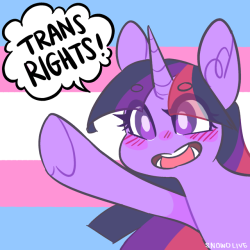 snowoiive:twilight sparkle says trans rights!!