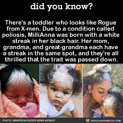 did-you-kno:  There’s a toddler who looks like  Rogue from X-men. Due to a  condition called poliosis, MilliAnna  was born with a white streak in her  black hair. Her mom, grandma, and  great-grandma all have the same  streak in the same spot, and 