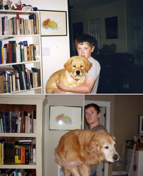 tastefullyoffensive:  Before and After Pictures of Animals Growing Up [via]Previously: Animals Using Other Animals as Pillows 
