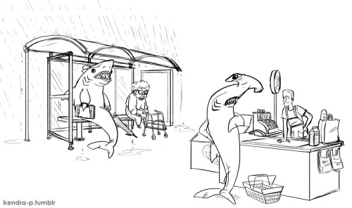 kendra-p:  Sharks coping with contemporary adult photos