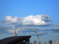 kingcheddarxvii:  rhetthammersmith:  Dog cloud over Manhattan . August 17, 2014  rare glimpse of Dog Heaven spotted. not a cloud just the souls of very many good dogs