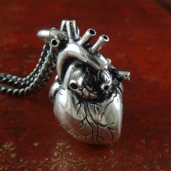 Anatomically Correct Heart on a necklace
